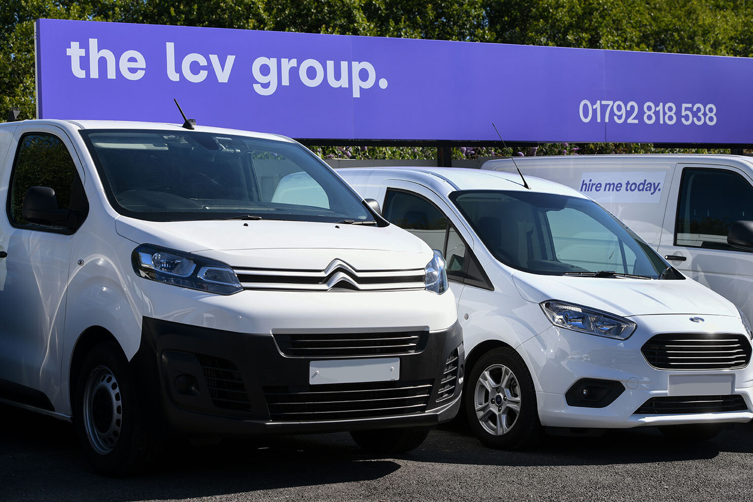 The lcv group
